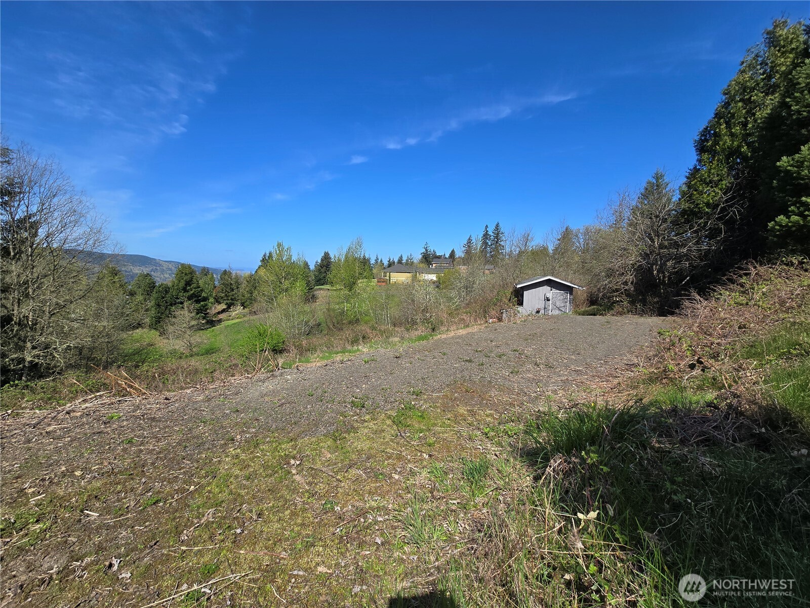 420 Topeka Road Kelso, WA 98626 - Photo 13 of 26 a view of a dry yard with trees