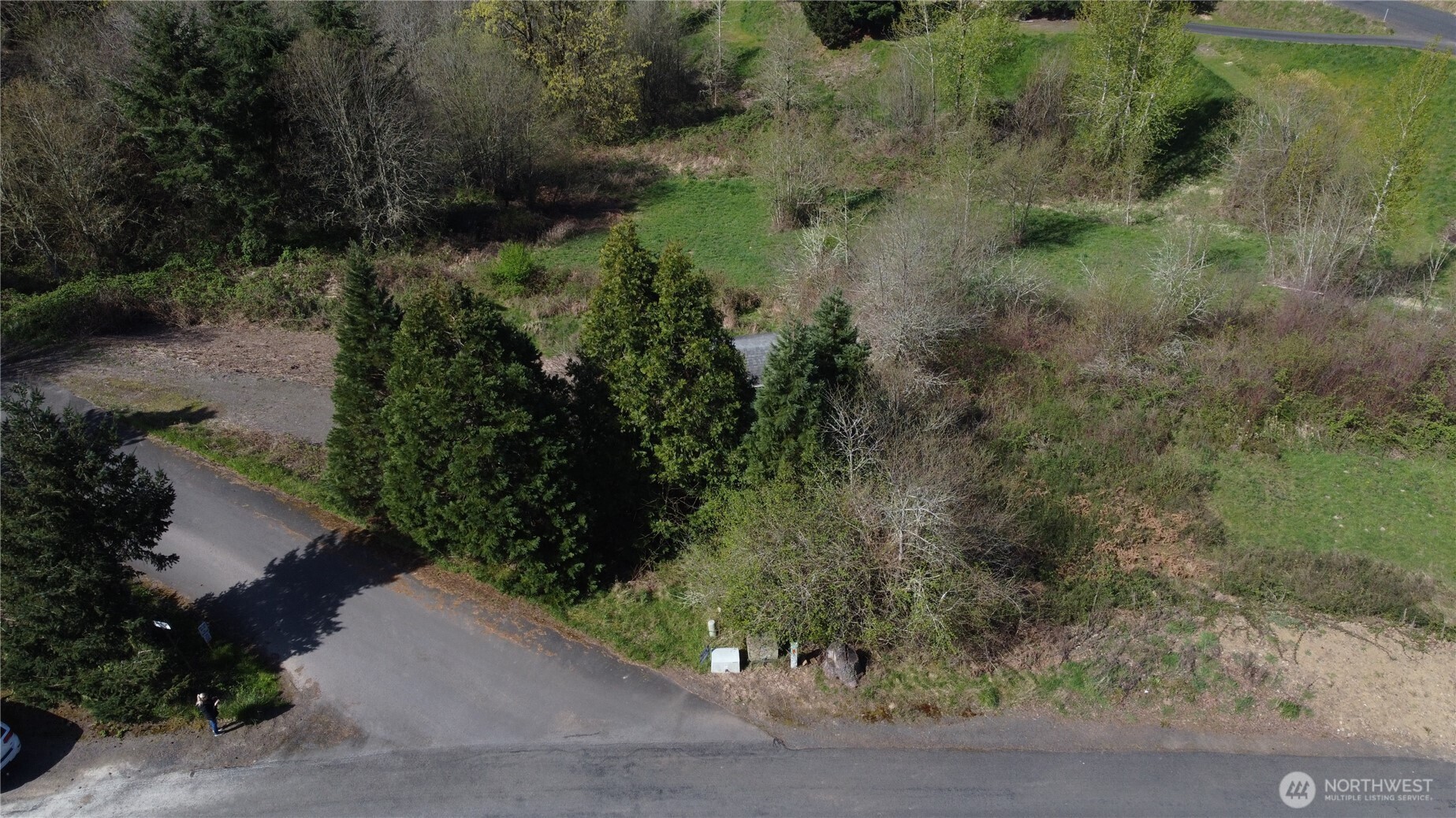 420 Topeka Road Kelso, WA 98626 - Photo 20 of 26 a view of a garden with a tree