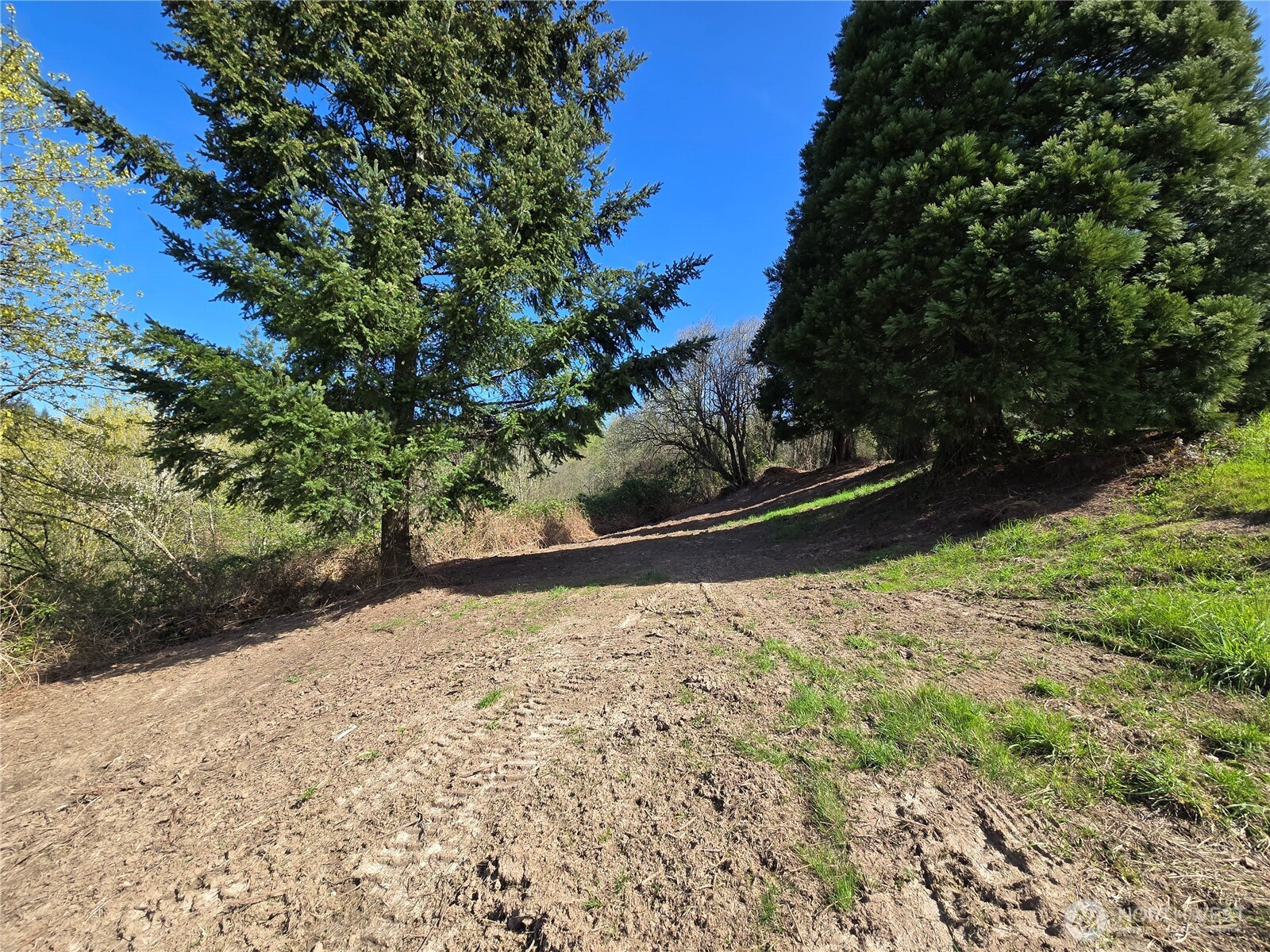 420 Topeka Road Kelso, WA 98626 - Photo 2 of 26 a view of a backyard of the house