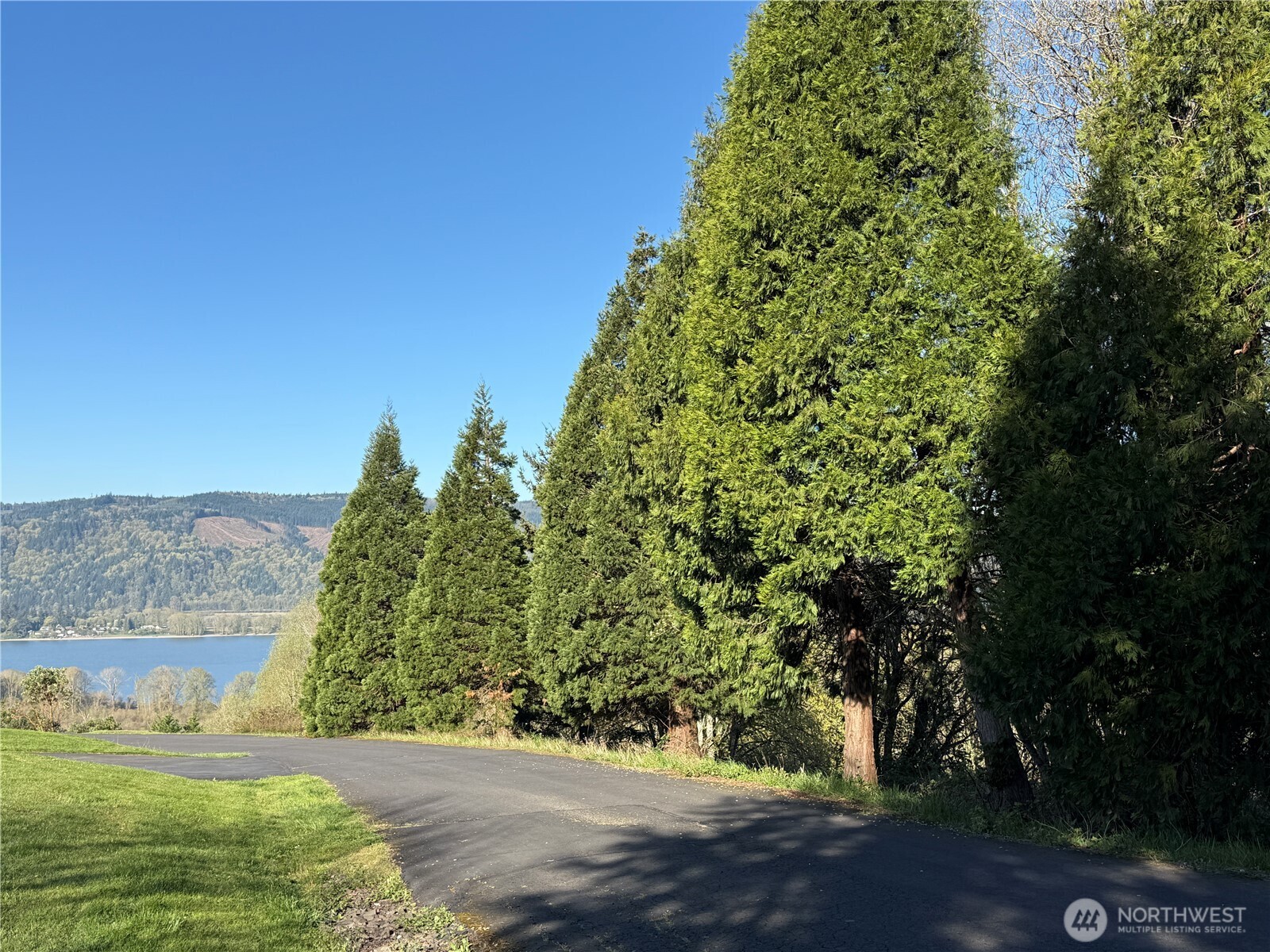 420 Topeka Road Kelso, WA 98626 - Photo 3 of 26 a view of a yard with plants