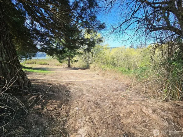 a view of beach and yard