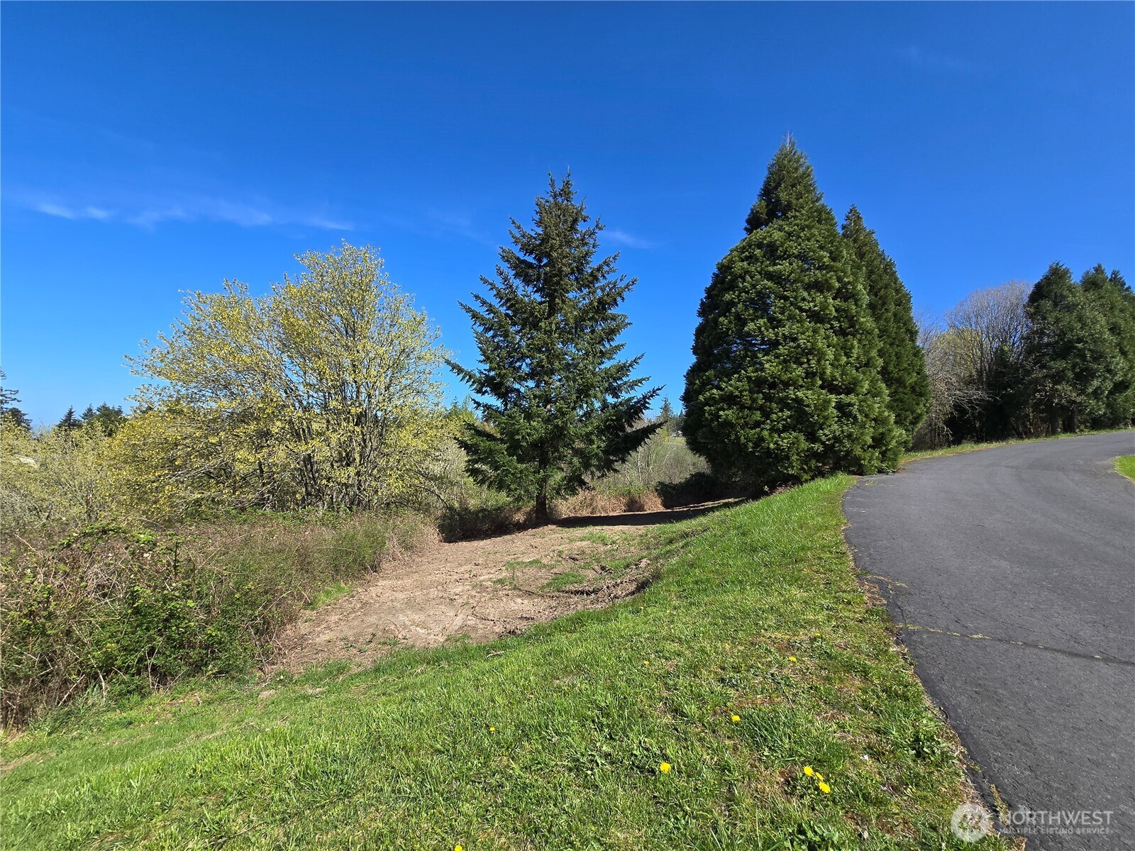 420 Topeka Road Kelso, WA 98626 - Photo 6 of 26 a view of a garden