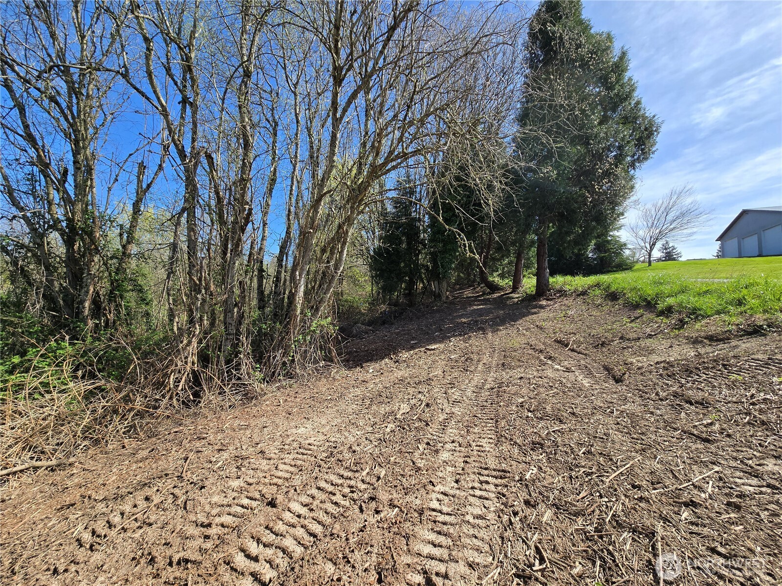 420 Topeka Road Kelso, WA 98626 - Photo 7 of 26 a view of a yard with trees