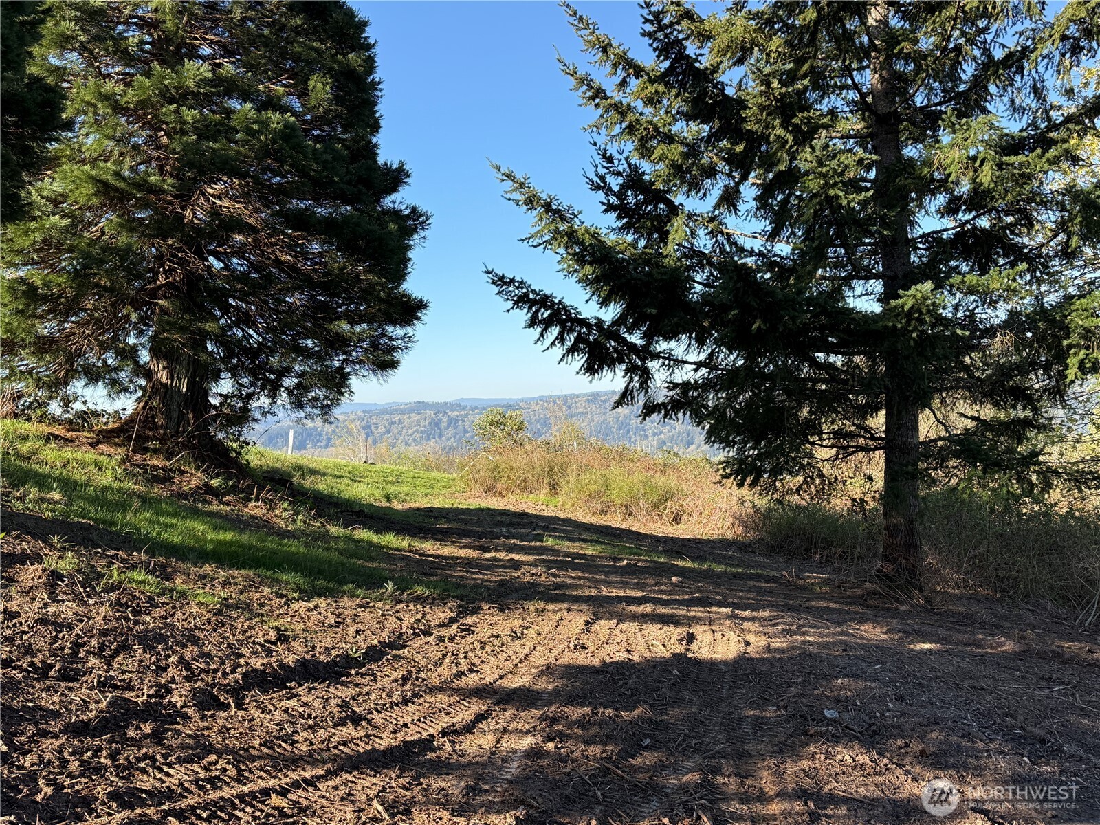 420 Topeka Road Kelso, WA 98626 - Photo 10 of 26 a view of a yard with wooden fence