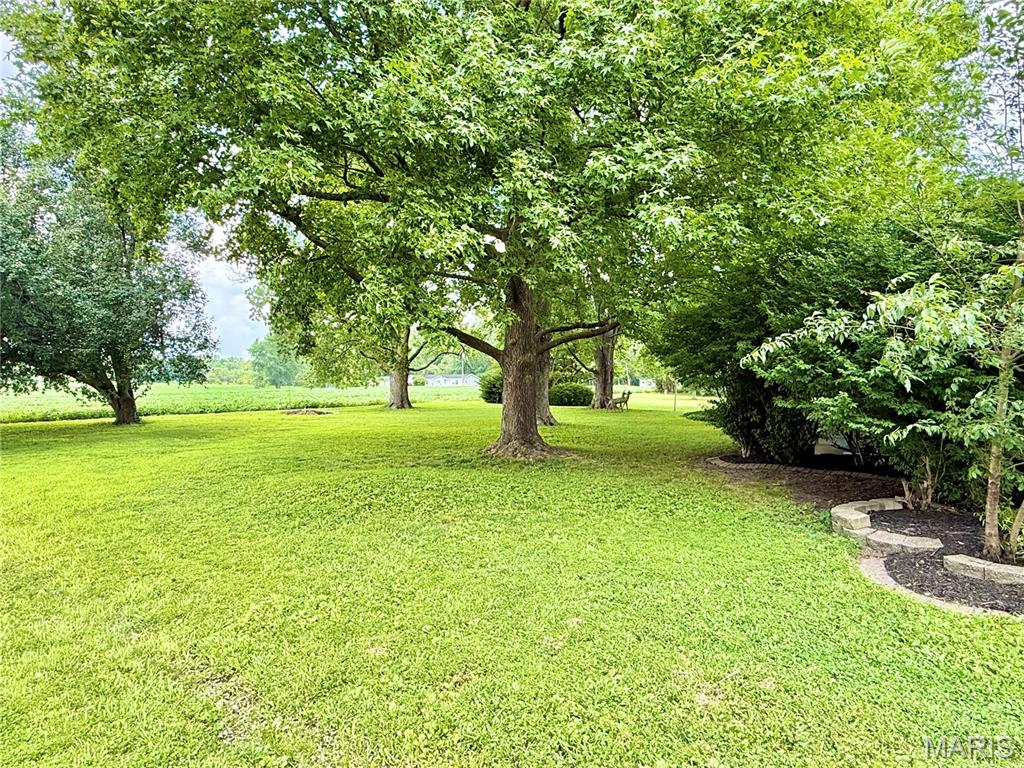 319 Fillmore Street Worden, IL 62097 - Photo 24 of 37
