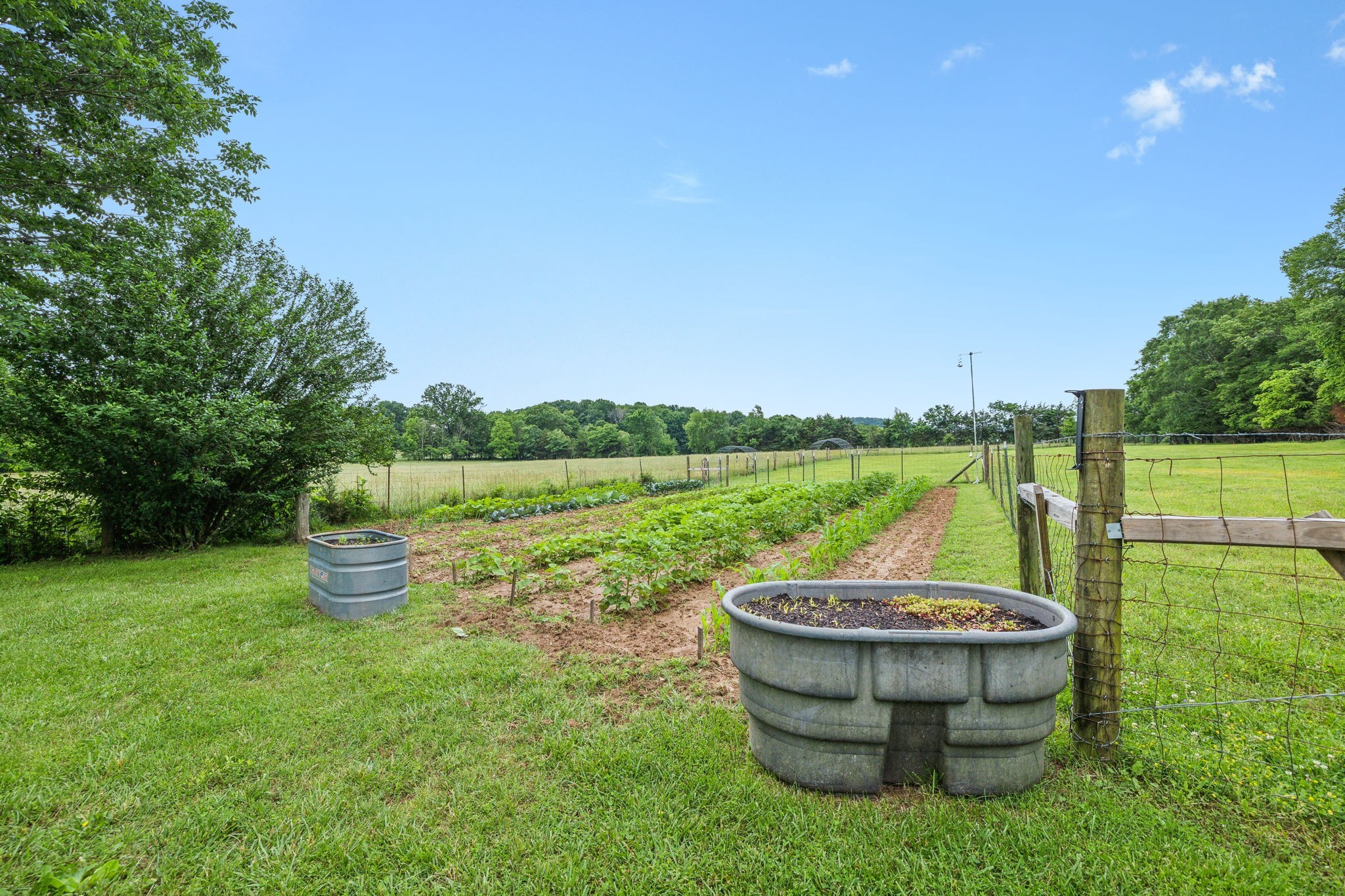 1550 Beech Bottom Road Watertown, TN 37184 - Photo 29 of 38 a view of a swimming pool with a back yard