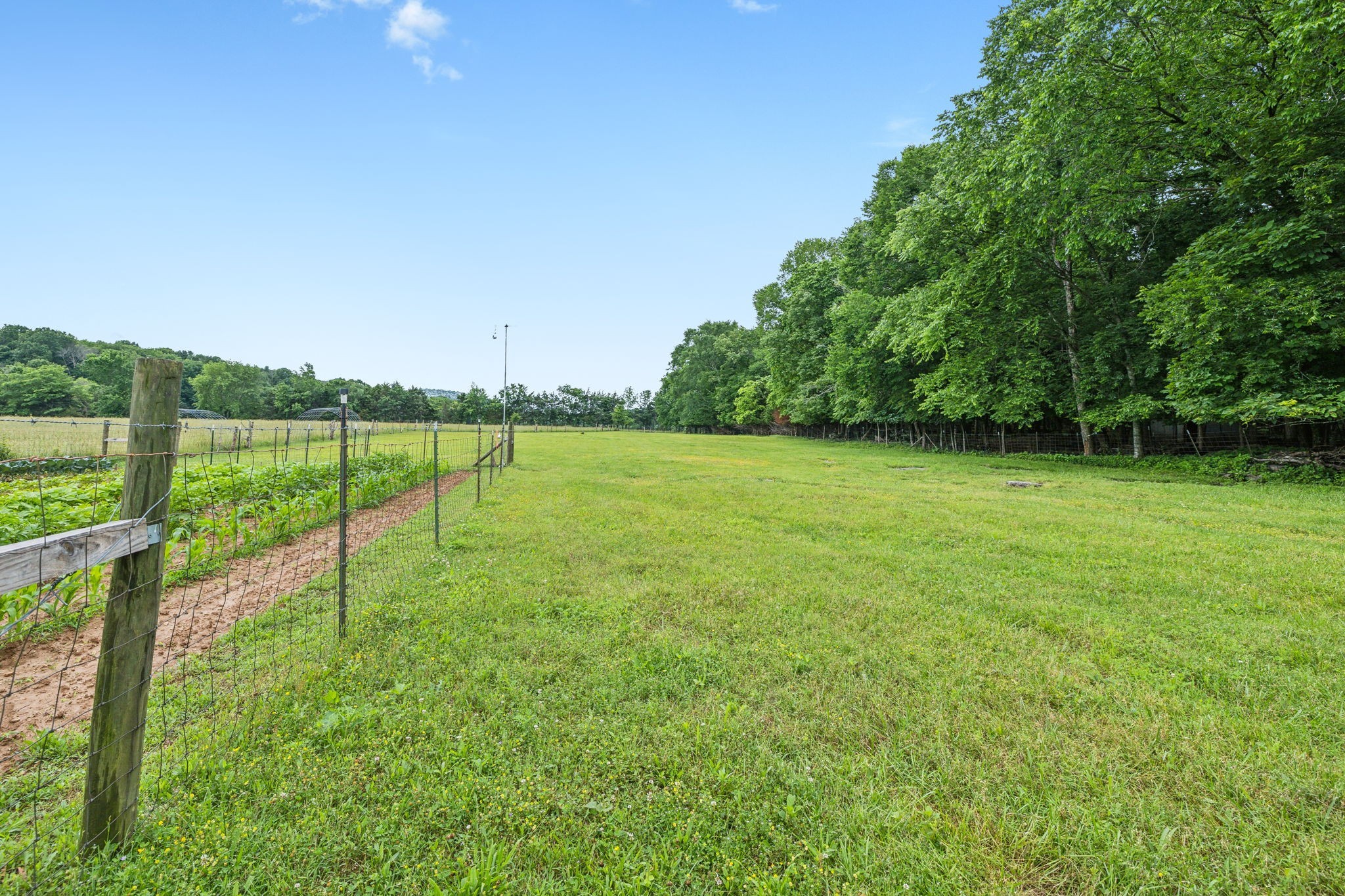 1550 Beech Bottom Road Watertown, TN 37184 - Photo 36 of 38 a view of a grassy field with trees in the background