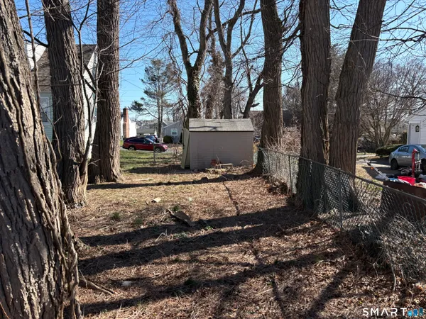 a view of a yard with plants and trees