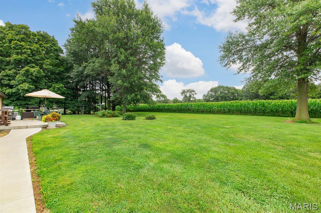 29022 Smith Road Medora, IL 62063 - Photo 26 of 62 Gallery Image 26
