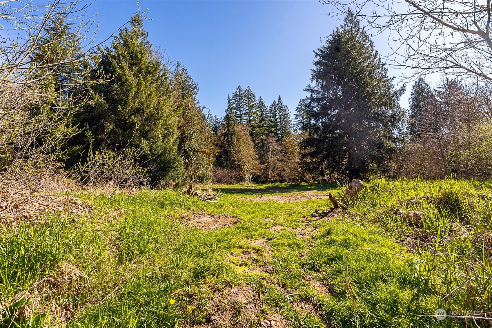 266 Stub Road Onalaska, WA 98570 - Photo 16 of 22 Gallery Image 16
