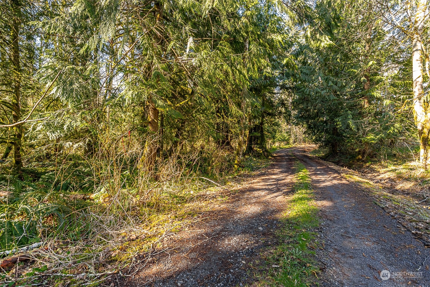 266 Stub Road Onalaska, WA 98570 - Photo 3 of 22 Gallery Image 3