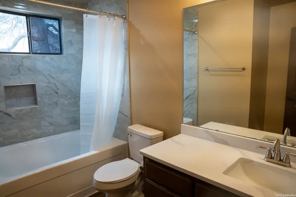 a large tree in the garden covered with tall trees