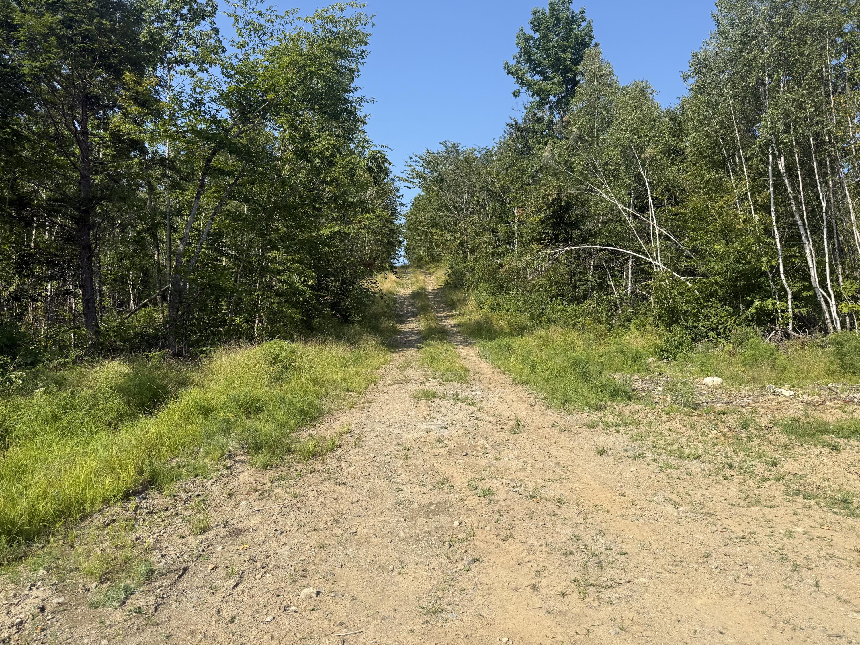 Tbd Oak Mountain Road Springfield, ME 04487 - Photo 5 of 9 IMG_8571