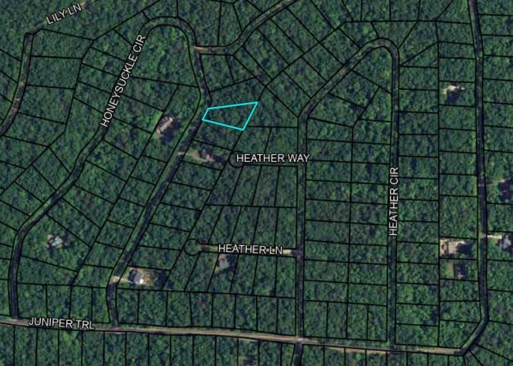 06 Juniper Way Waverly Hall, GA 31831 - Photo 3 of 8 a view of a yard