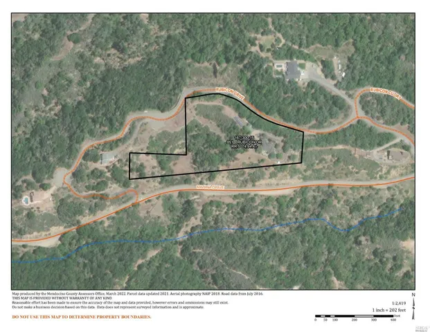 a black and white photo of a tree