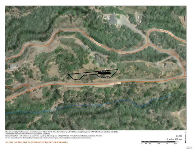 a black and white photo of a lots of trees