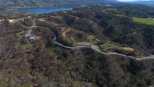 a view of a forest with a forest