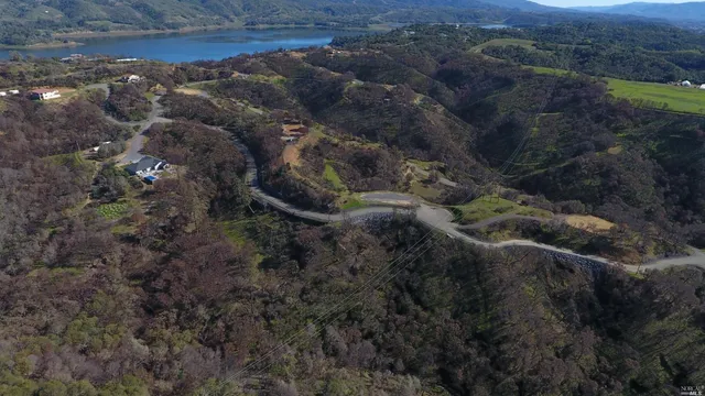 a view of a forest with a forest