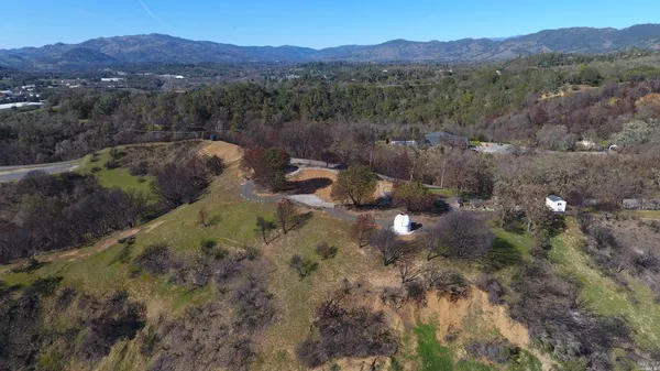 a view of a forest with a sink and a forest