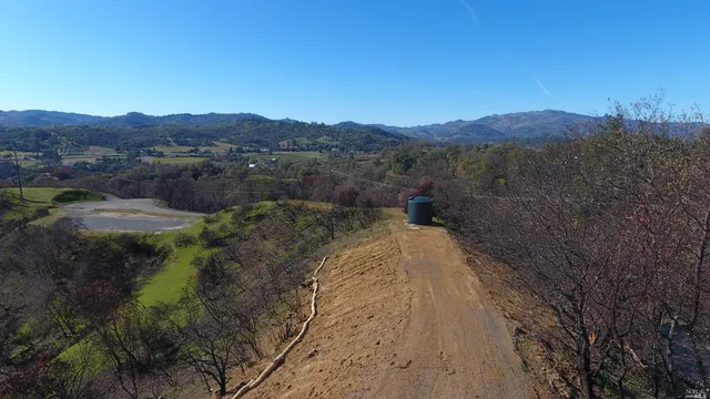 a view of a lush green field with mountains in the background