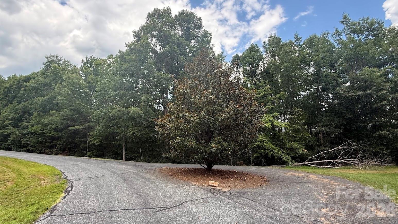 0 Fallen Tree Lane, Unit 19 Mill Spring, NC 28756 - Photo 10 of 12