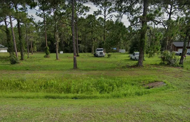 a view of a park with trees and grass