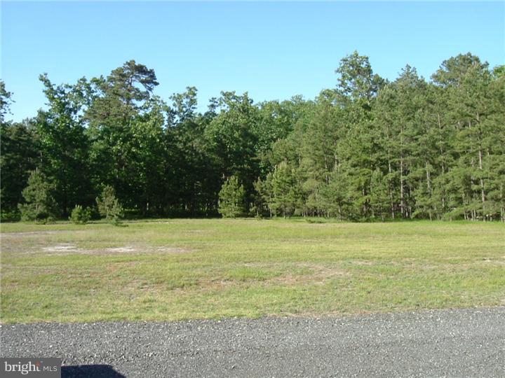 25 Burrs Mill Road Southampton, NJ 08088 - Photo 3 of 21 Side Yard