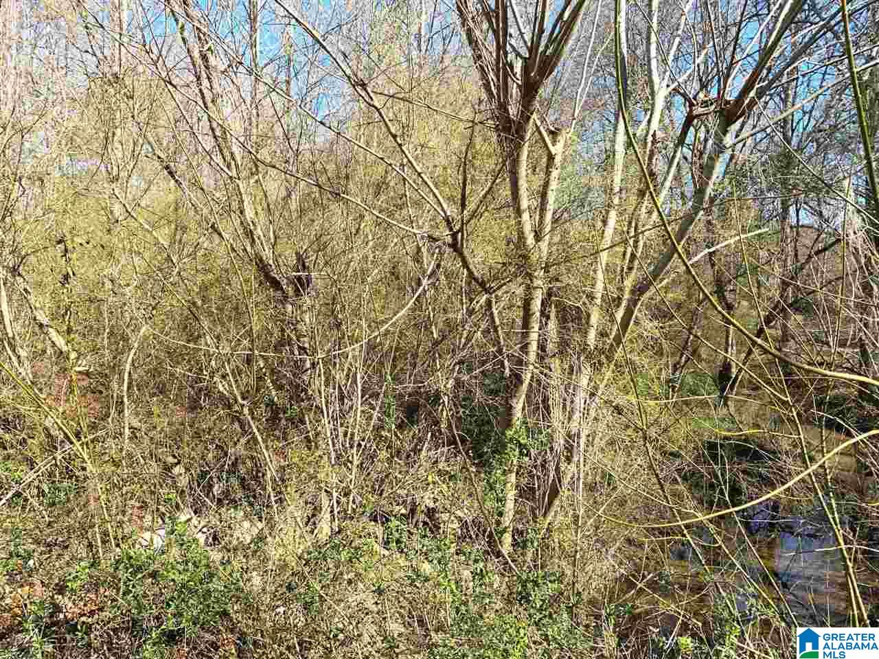 Blake Street, Unit 1 9ACRES Heflin, AL 36264 - Photo 5 of 7