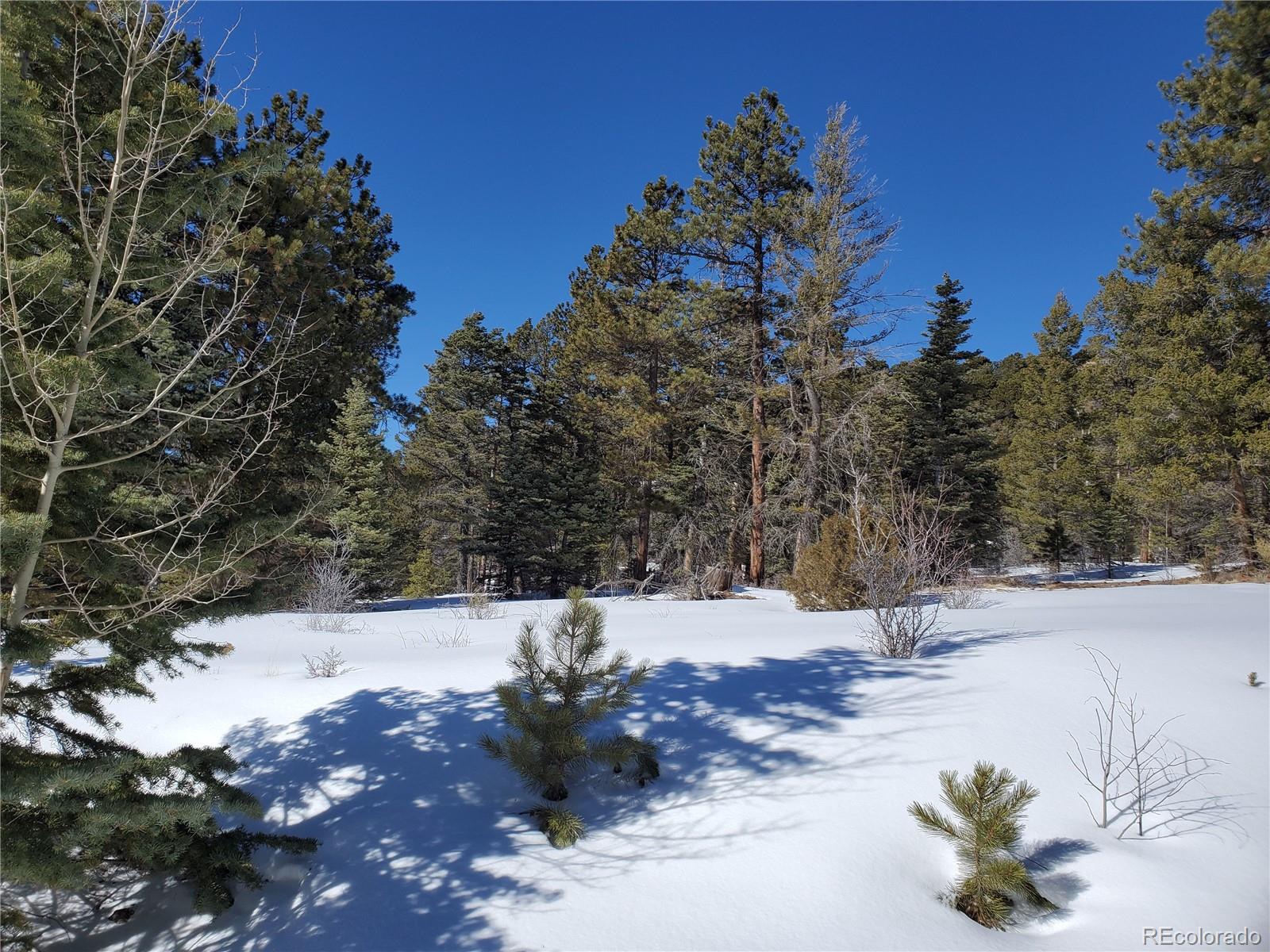 2622 Freeman Road Fort Garland, CO 81133 - Photo 12 of 19 Gallery Image 12