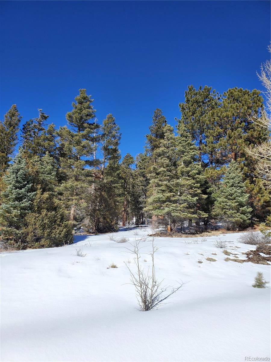2622 Freeman Road Fort Garland, CO 81133 - Photo 13 of 19 Gallery Image 13