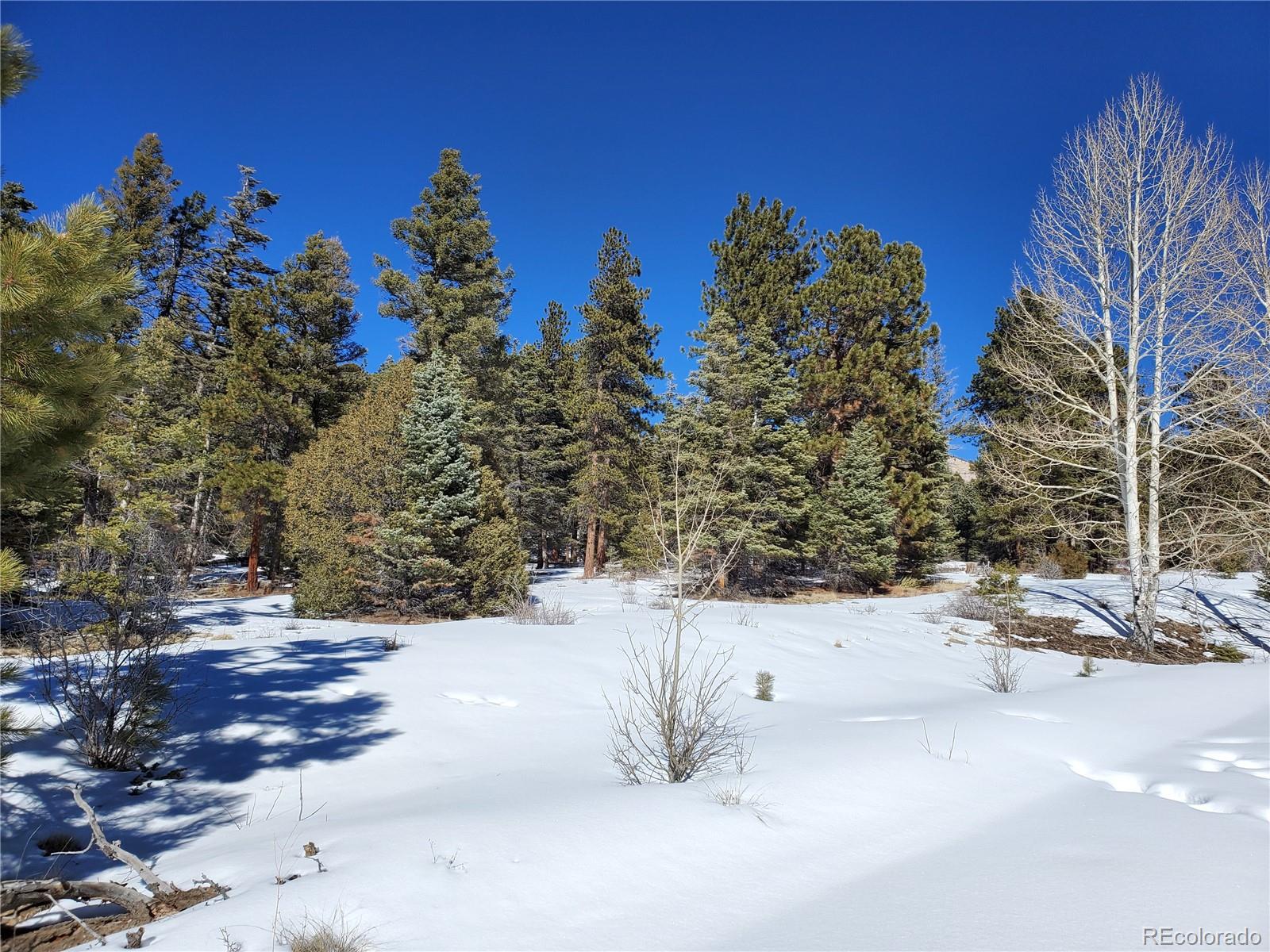 2622 Freeman Road Fort Garland, CO 81133 - Photo 2 of 19 Gallery Image 2
