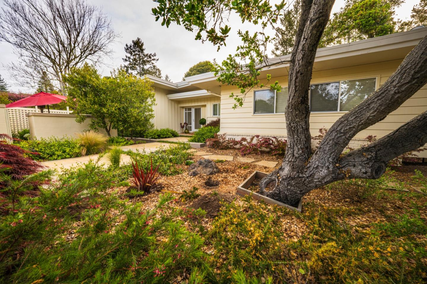 14 Oak Road Santa Cruz, CA 95060 - Photo 3 of 53 a view of a yard with plants and trees