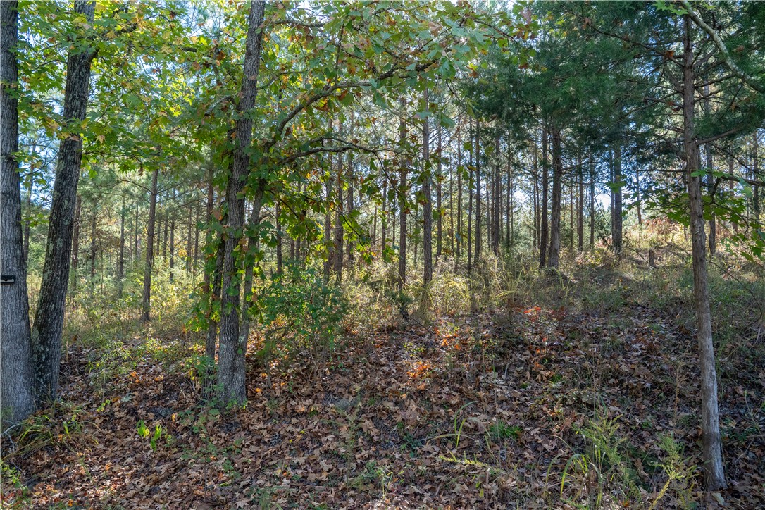 735 Gwinn Mill Road Pauline, SC 29374 - Photo 2 of 27