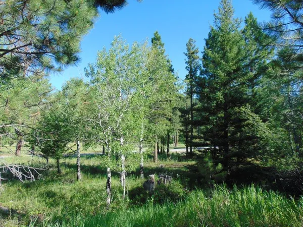 $615,000 | 4615 Abe Lincoln Road, Lincoln, MT 59639
