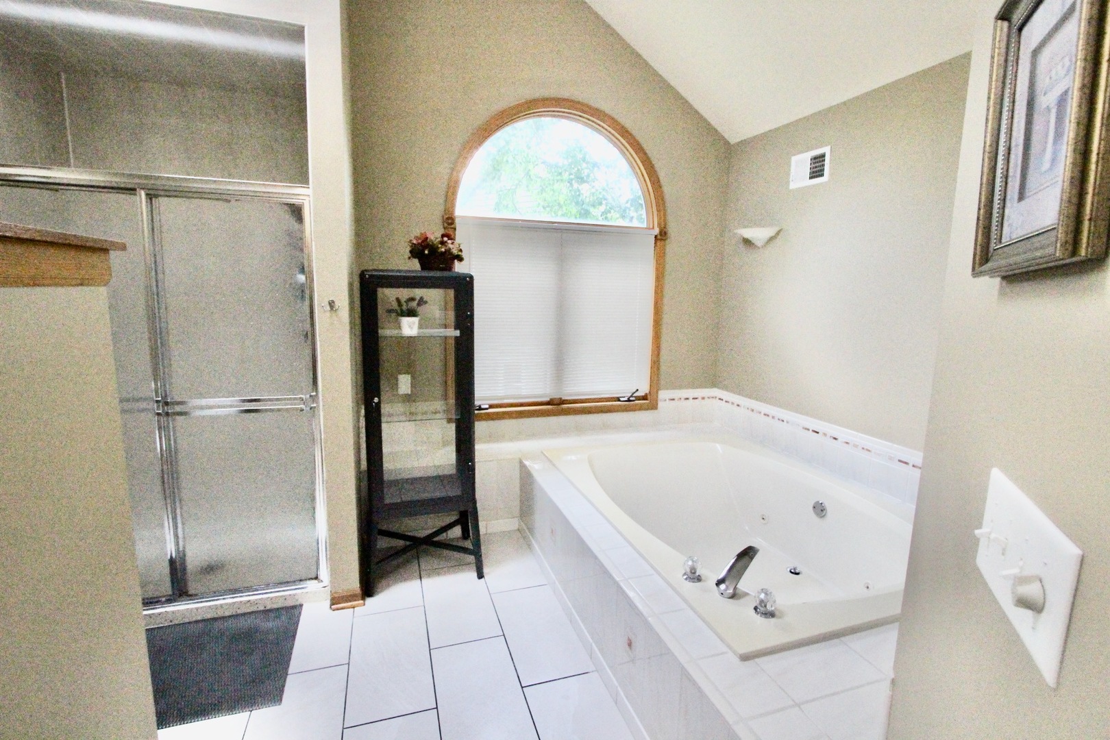 6 Allegheny Court Bolingbrook, IL 60440 - Photo 25 of 38 a bathroom with a tub and a shower