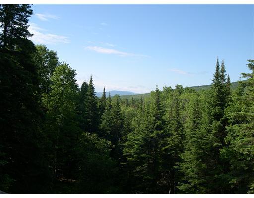 50 Field Way Rangeley, ME 04970 - Photo 10 of 25 View. Mountain views from the front deck