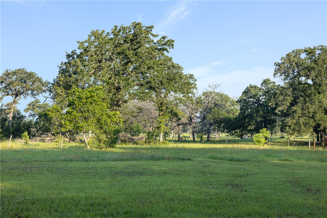 26795 Rice Road Hockley, TX 77447 - Photo 12 of 19 a garden view with a trees