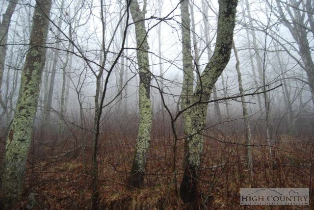 Lot #27 Fox Run Road Banner Elk, NC 28604 - Photo 2 of 2 Gallery Image 2