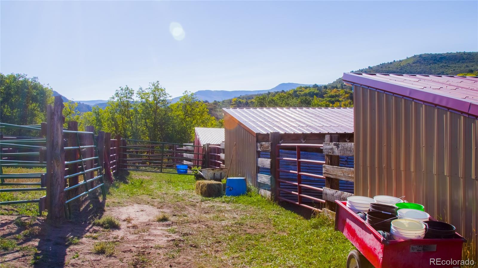61687 60 1/2 Road Collbran, CO 81624 - Photo 13 of 39 Gallery Image 13