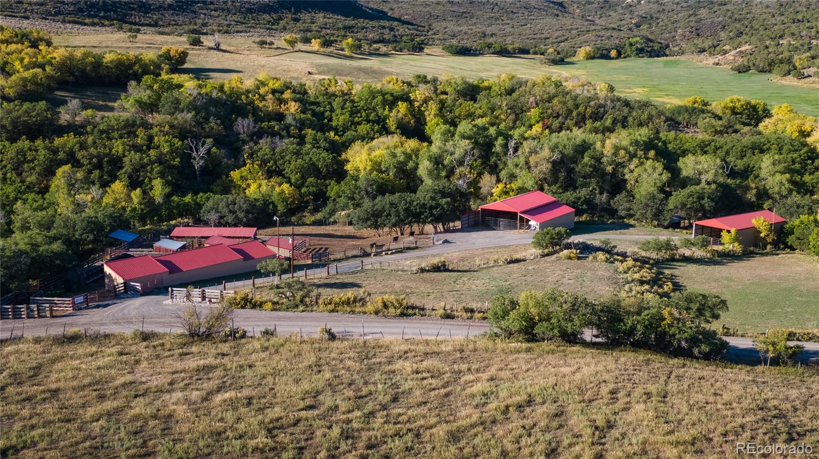 61687 60 1/2 Road Collbran, CO 81624 - Photo 3 of 39 Gallery Image 3