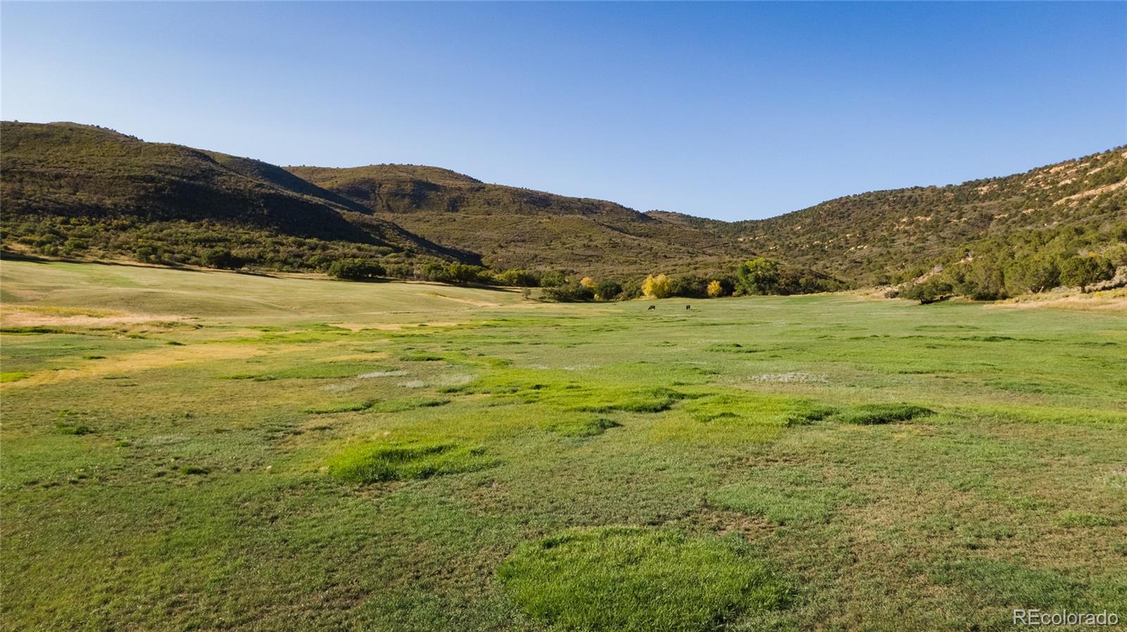 61687 60 1/2 Road Collbran, CO 81624 - Photo 25 of 39 Gallery Image 25