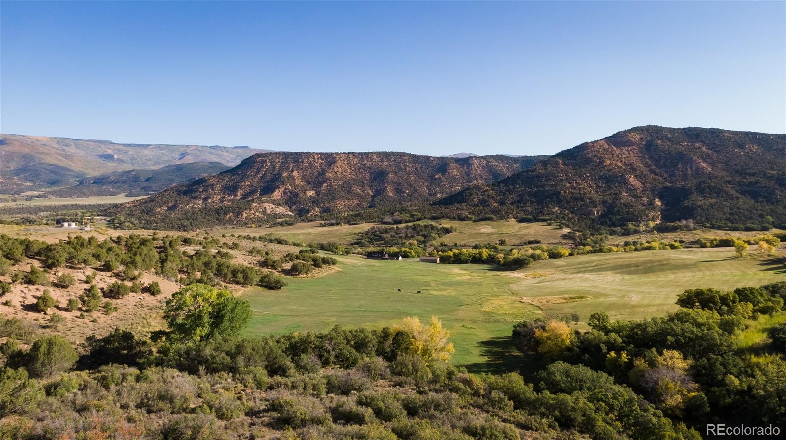 61687 60 1/2 Road Collbran, CO 81624 - Photo 26 of 39 Gallery Image 26