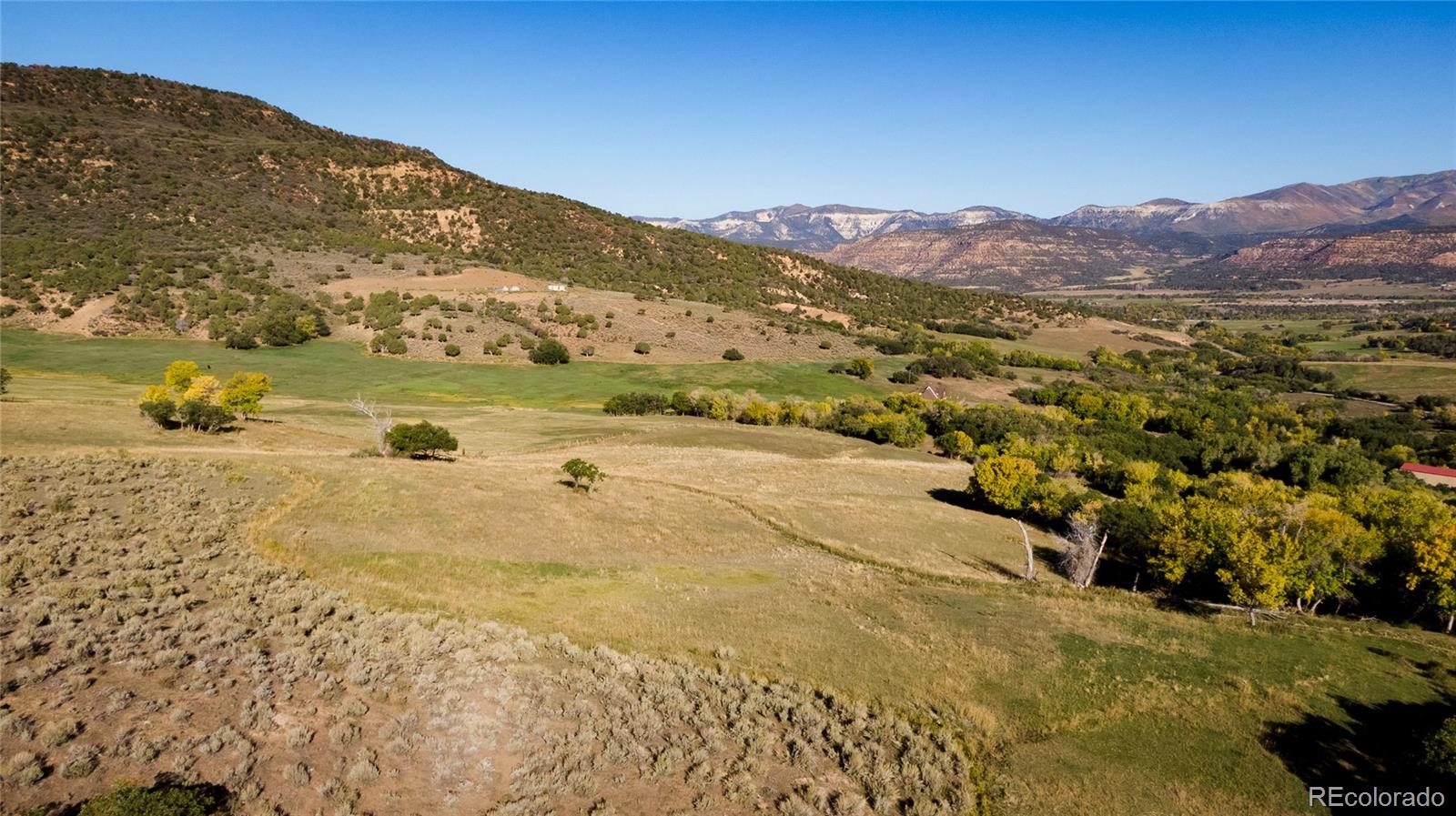 61687 60 1/2 Road Collbran, CO 81624 - Photo 27 of 39 Gallery Image 27