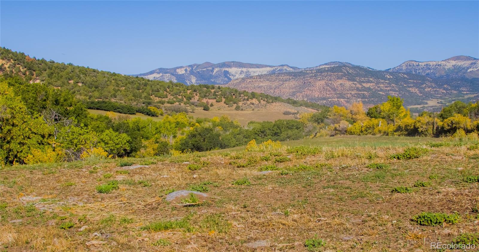 61687 60 1/2 Road Collbran, CO 81624 - Photo 35 of 39 Gallery Image 35