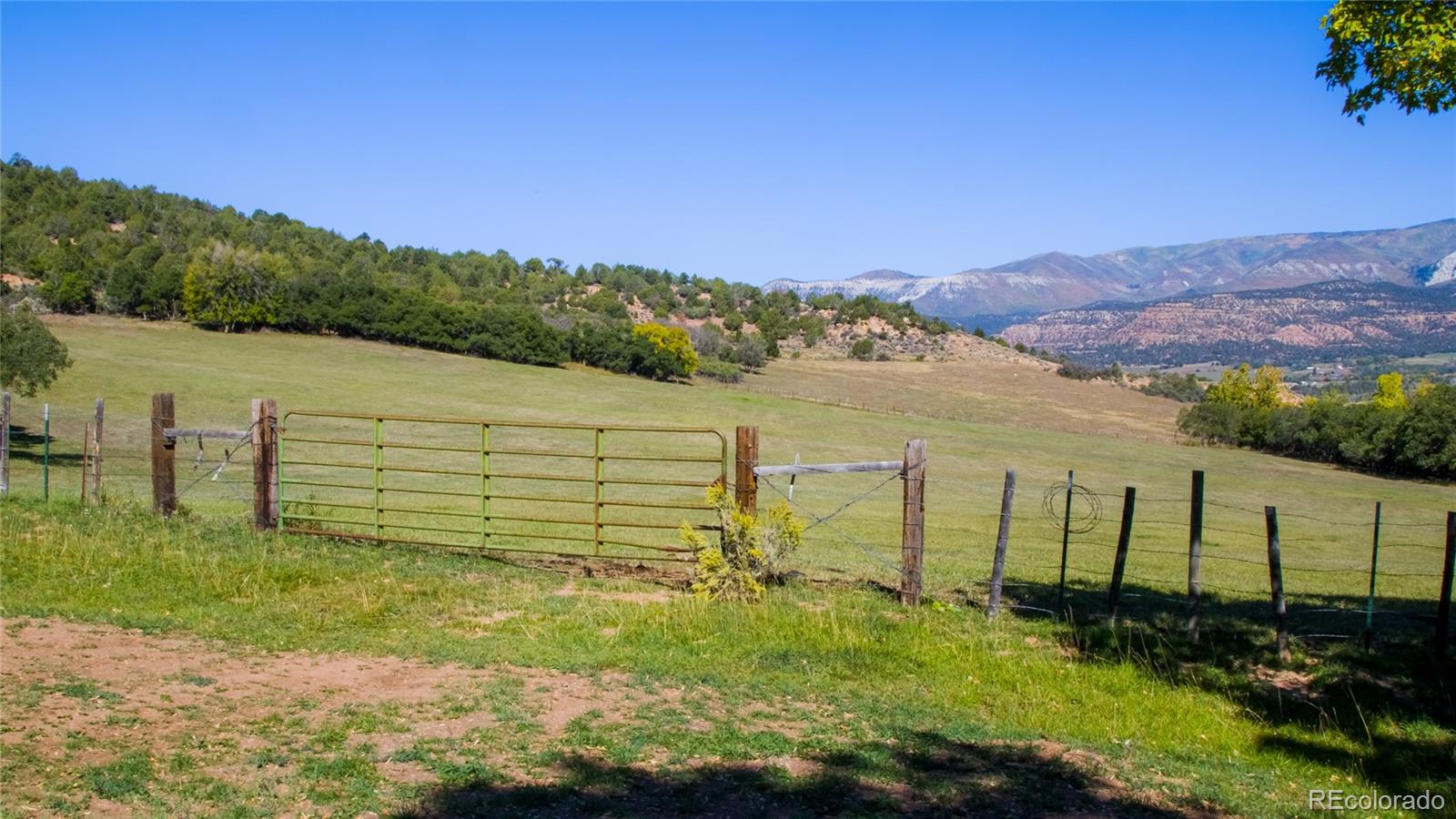 61687 60 1/2 Road Collbran, CO 81624 - Photo 39 of 39 Gallery Image 39