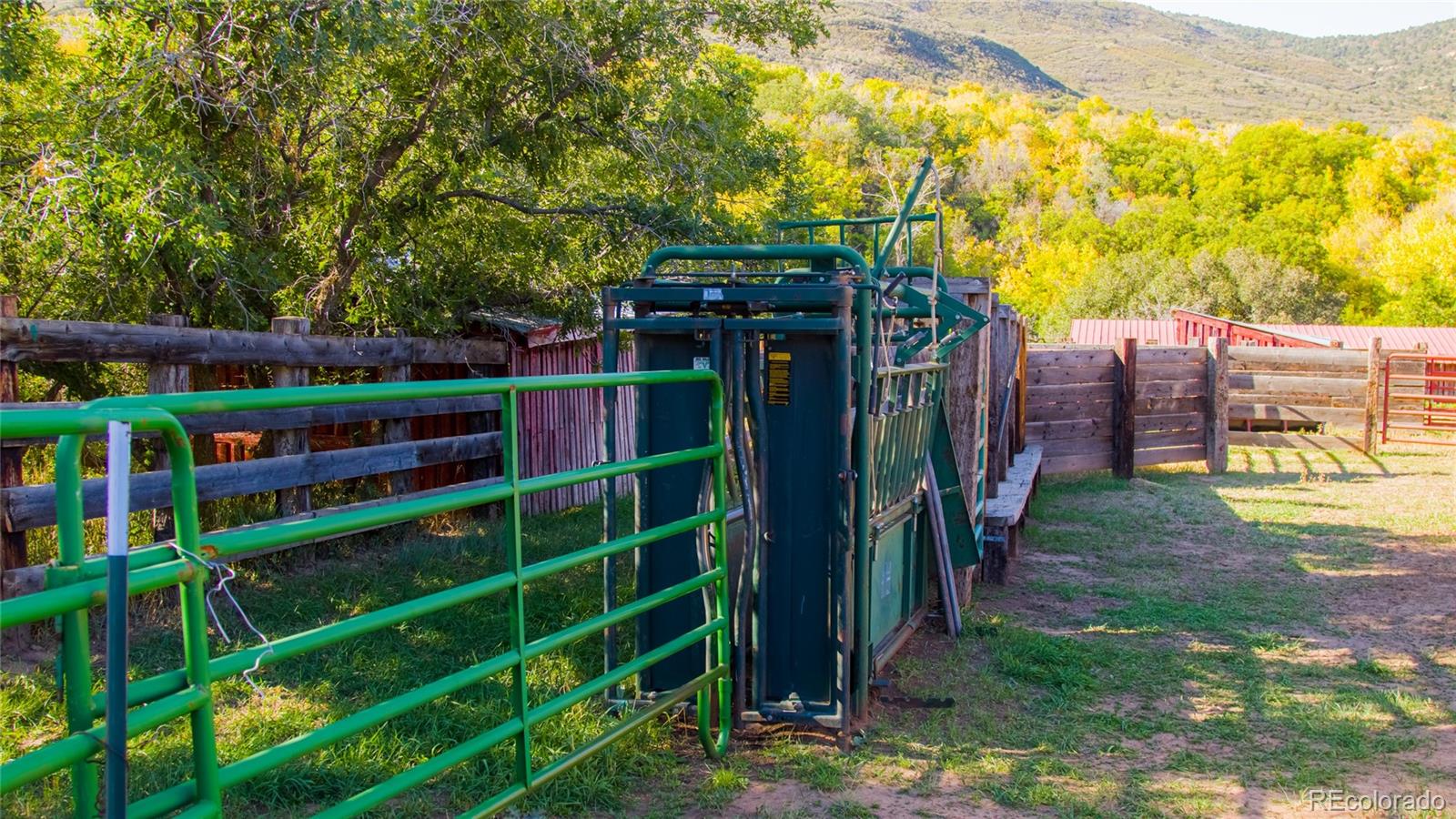 61687 60 1/2 Road Collbran, CO 81624 - Photo 9 of 39 Gallery Image 9