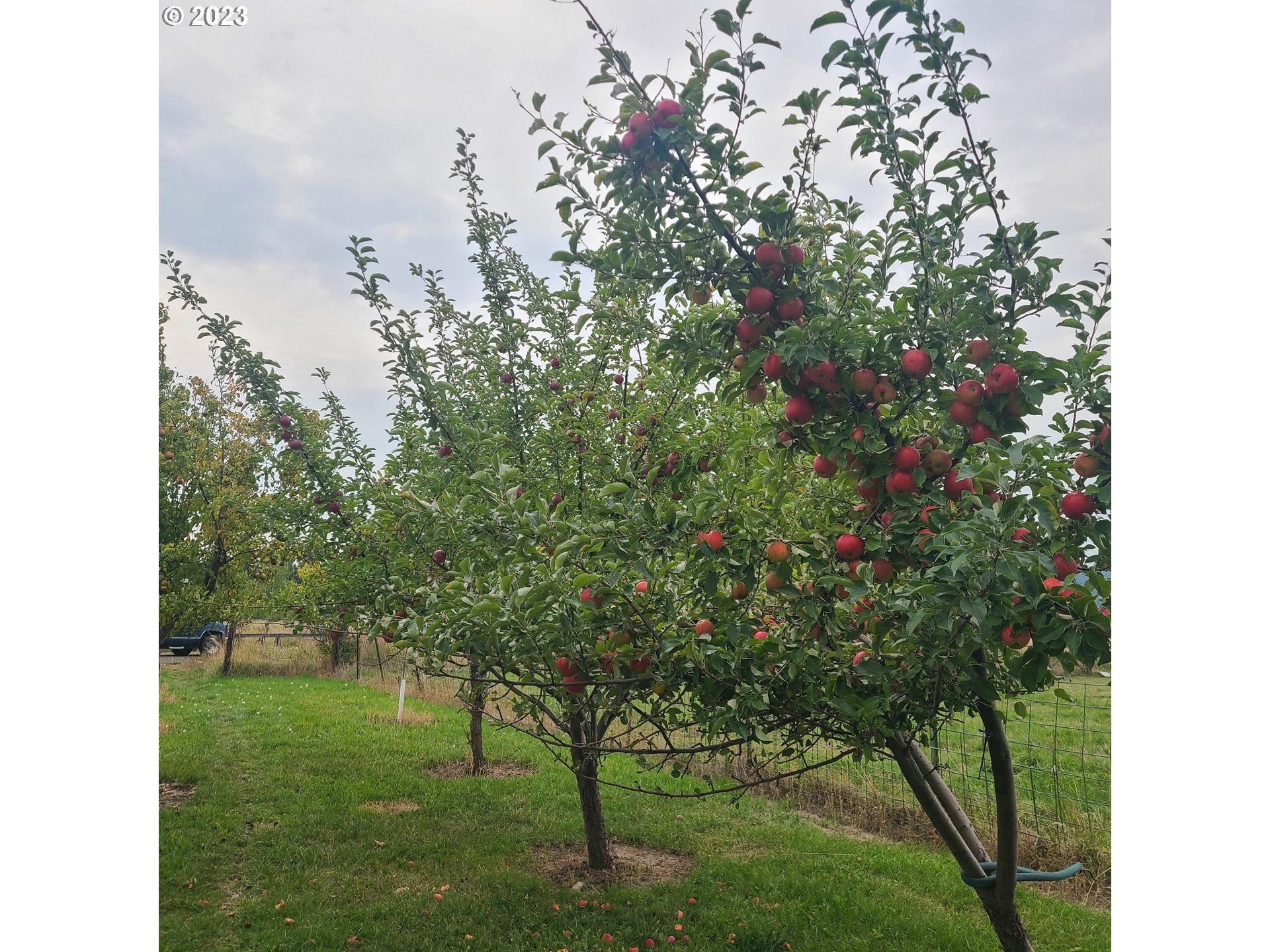 70774 Middle Road Elgin, OR 97827 - Photo 24 of 48