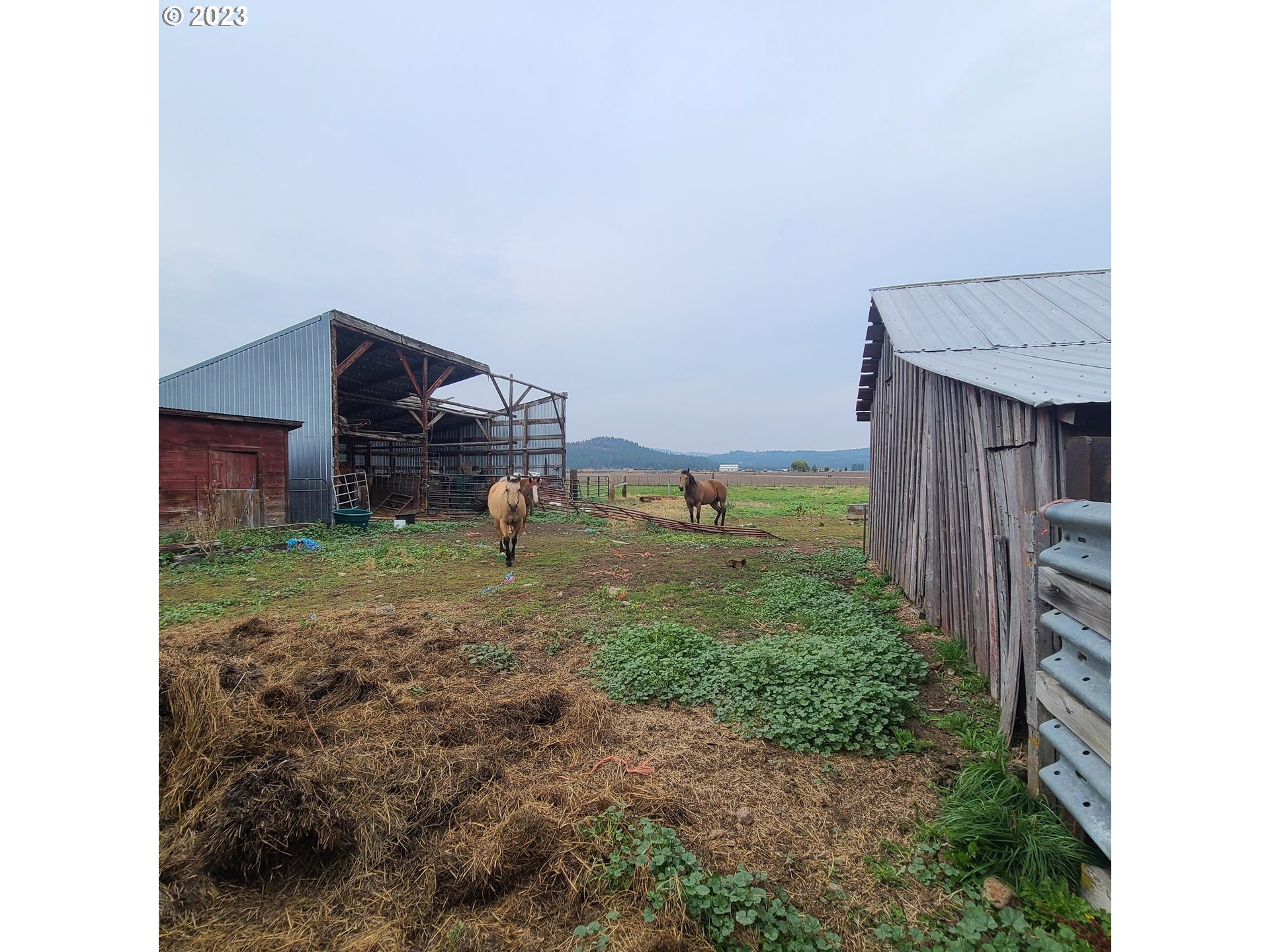 70774 Middle Road Elgin, OR 97827 - Photo 28 of 48