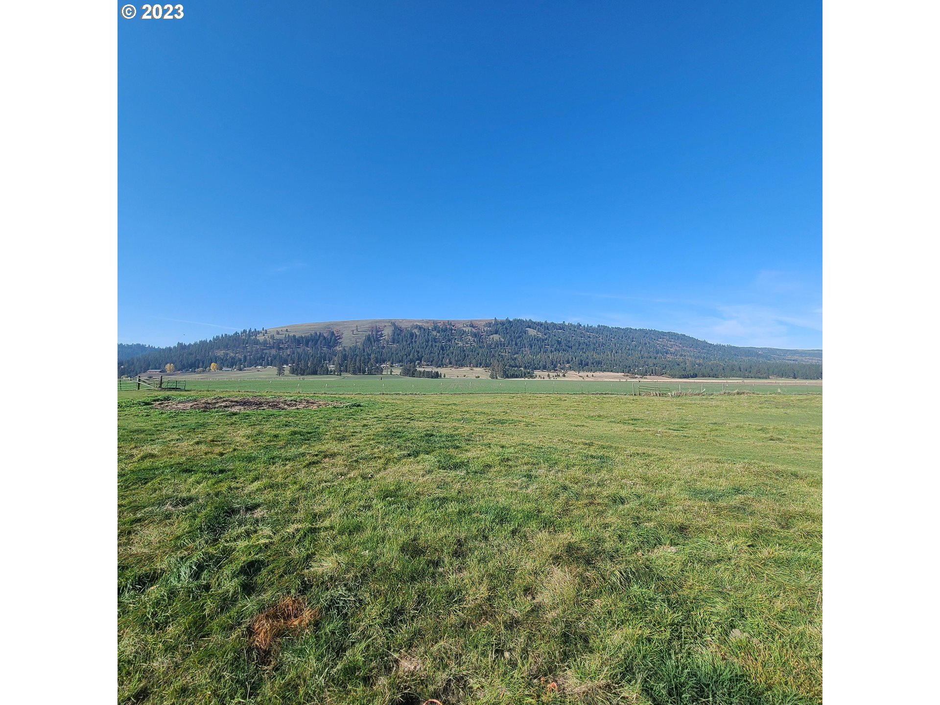 70774 Middle Road Elgin, OR 97827 - Photo 32 of 48