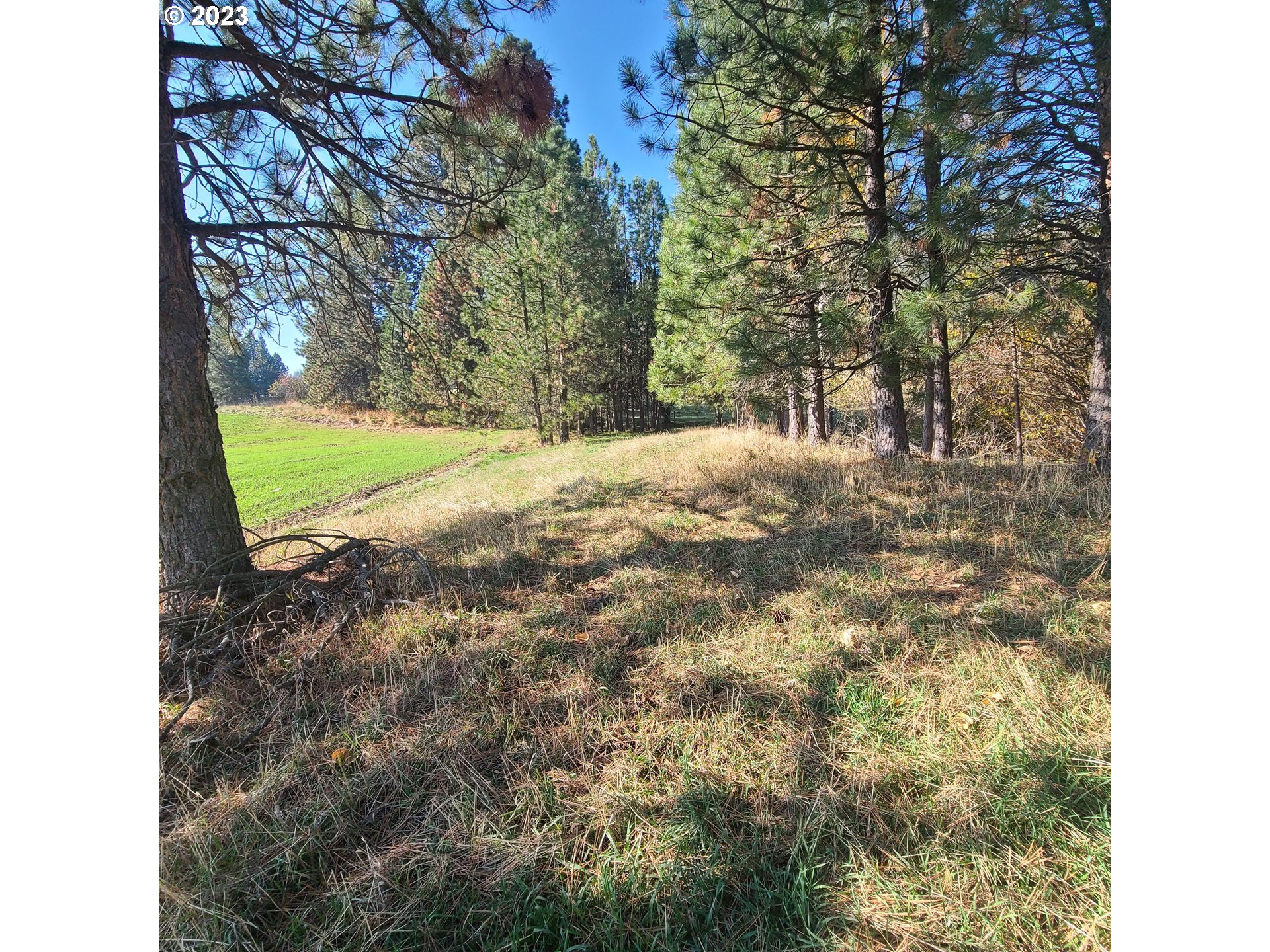 70774 Middle Road Elgin, OR 97827 - Photo 33 of 48